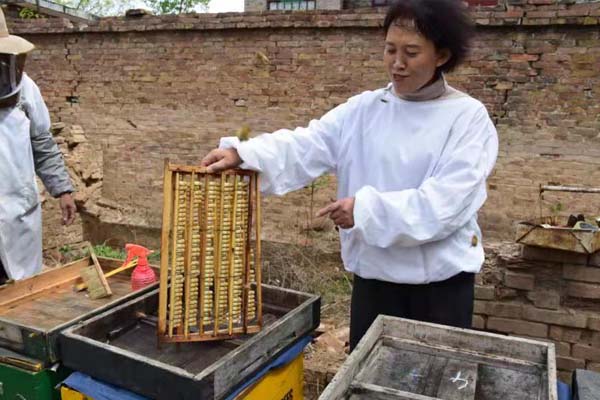 蜂場(chǎng)風(fēng)采